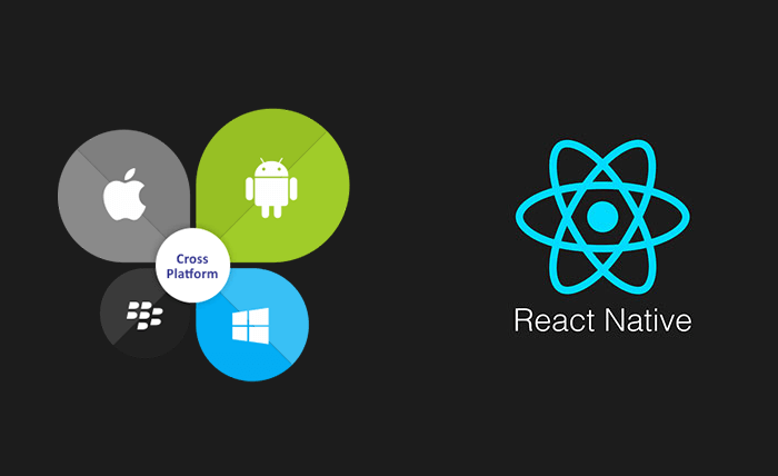 Hybrid Mobile Application Development Online Course In React Native